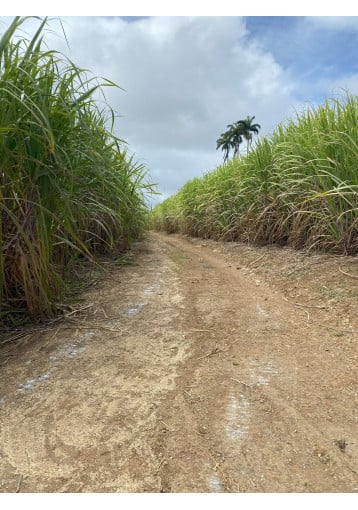 Longueteau - Cuvée Excellence Rhum