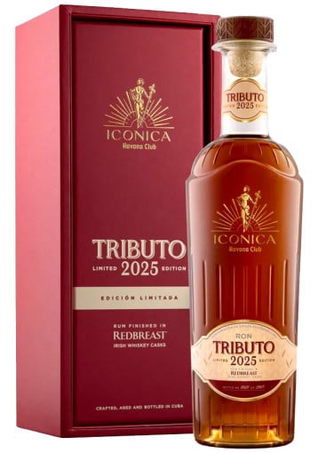 Iconica - Tributo 2025
