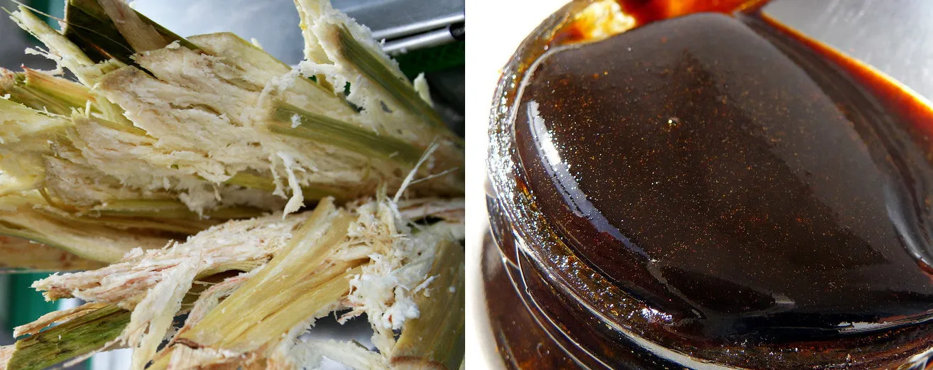 Rhum Rum Ron: What's the difference?